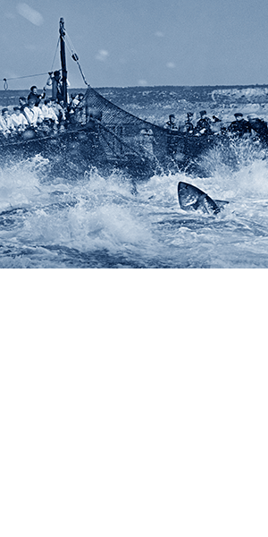 Exposició La mar epica