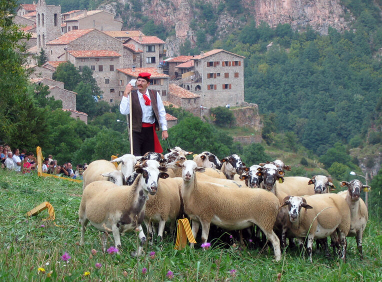 Concurs Internacional de Gossos d'atura de Castellar de n'Hug