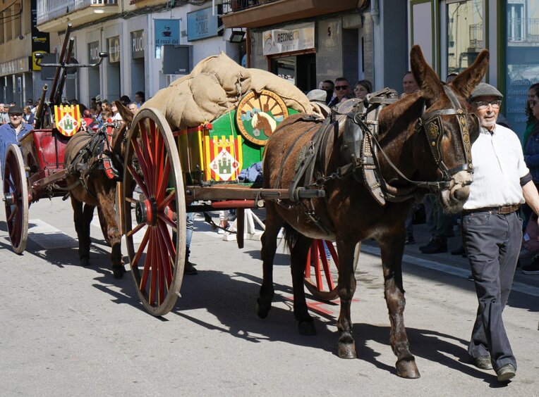 Festa dels Carreters de Sant Vicenç de Castellet