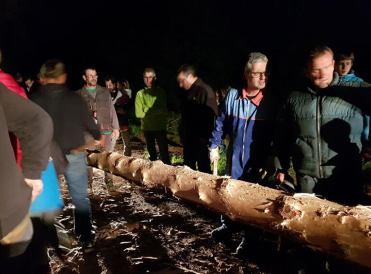 Festa del pi de maig d'El Pla de Manlleu