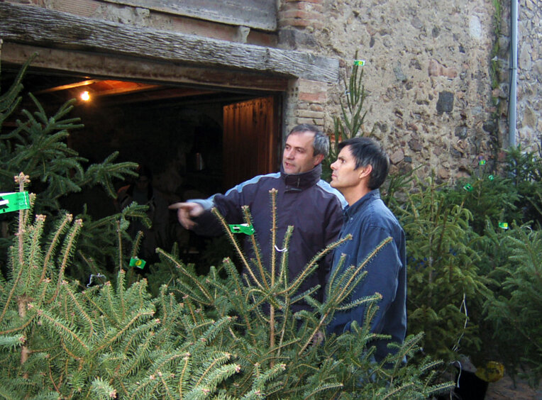 Fira de l'Avet a Espinelves