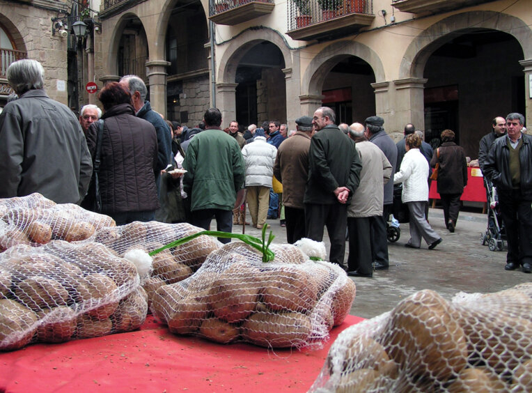 Fira del trumfo i la tòfona a Solsona