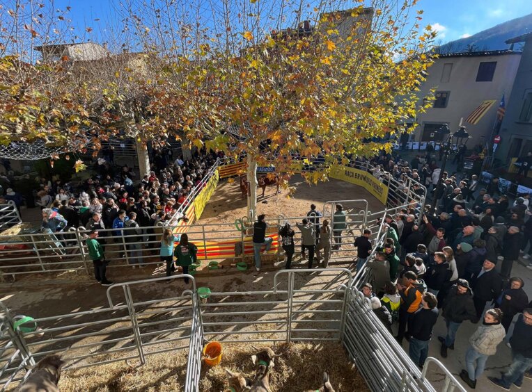 Fira de Santa Llúcia a Sant Feliu de Pallerols