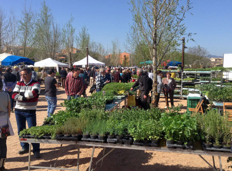 Fira de la flor i el planter a Salt