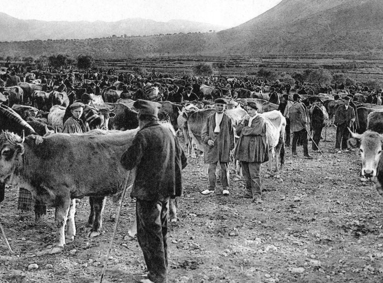 Fira de Sant Andreu a Organyà