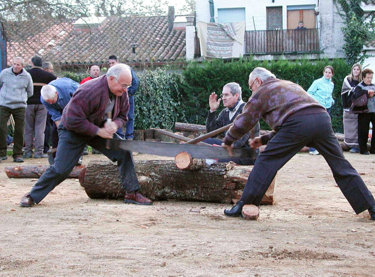 Fira del bosc i la pagesia
